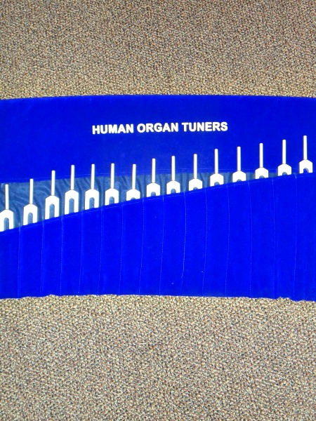 human organ tuning forks